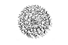 Circle of Life - Chrome