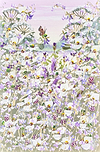 Sunshine and Wildflowers VI