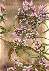 Floral Harmony