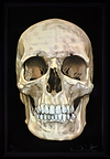 The Skull Beneath The Skin