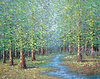 The Stillness Beneath the Canopy II