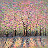 Multi Coloured Woodland II