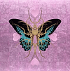 Butterfly Leaf - Pink