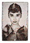 10,000 x Audrey