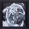 Diamonds are a Pug's Best Friend