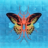 Leaf Butterfly - Sapphire