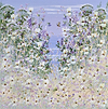Wildflower Paradise
