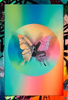 Colourful Butterfly