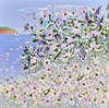 Coastal Bloom III