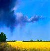 The Field Before the Rain