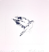 Bird On A Wing After DB