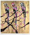 Polly Folly 6/25