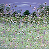 Wildflower Waltz VI