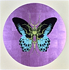 Therapy Crystal – Purple