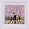 Awakening Light II (Framed)