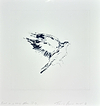 Bird on a Wing after DB