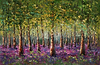 Hidden Forest II