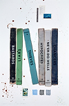 Library Study CXCVIII