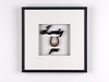 Lucky You (Framed)