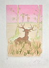 Le Cerf Malade