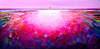 Sunshine Bliss IV