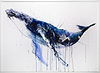 Humpback Whale II