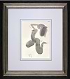 Stretch and Pose (Framed)