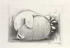 Strawberry and Dreams III (Sketch)