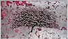 Spring Blossom Tree (Framed)