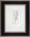 Bedroom Shadows (Framed)