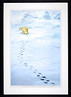 The Path Less Trodden (Framed)