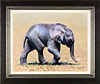 Elephant Baby