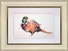 Fancy Pheasant
