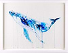 Humpback Whale