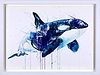 Orca