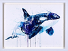 Orca
