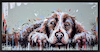 Spaniel Snoozes II