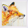 Fox III (AP)