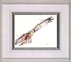 Soaring Red Kite