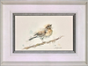 Pretty Song Thrush