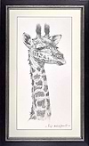 Baby Giraffe