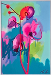 Pink Phalaina