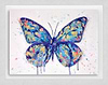 Butterfly Kisses