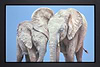 Elephants Demo