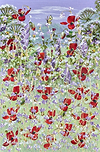 Poppies In Spring VI