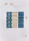 Library Study XXXIII
