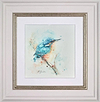 Tiny Kingfisher
