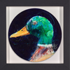 Duck Study II