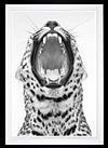 Never Change Your Spots