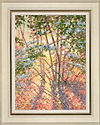Morning Sunlight (Wood)